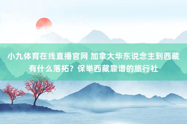 小九体育在线直播官网 加拿大华东说念主到西藏有什么落拓？保举西藏靠谱的旅行社