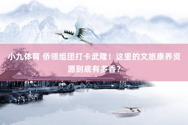 小九体育 侨领组团打卡武隆！这里的文旅康养资源到底有多香？