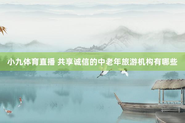 小九体育直播 共享诚信的中老年旅游机构有哪些