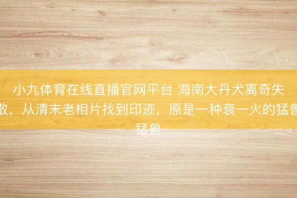 小九体育在线直播官网平台 海南大丹犬离奇失散，从清末老相片找到印迹，<a href=