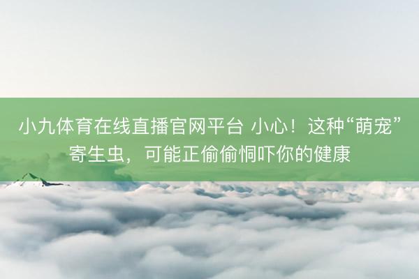 小九体育在线直播官网平台 小心！这种“萌宠”寄生虫，可能正偷偷恫吓你的健康