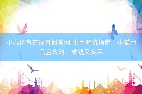 小九体育在线直播官网 生手避坑指南｜小猫用品全攻略，省钱又实用