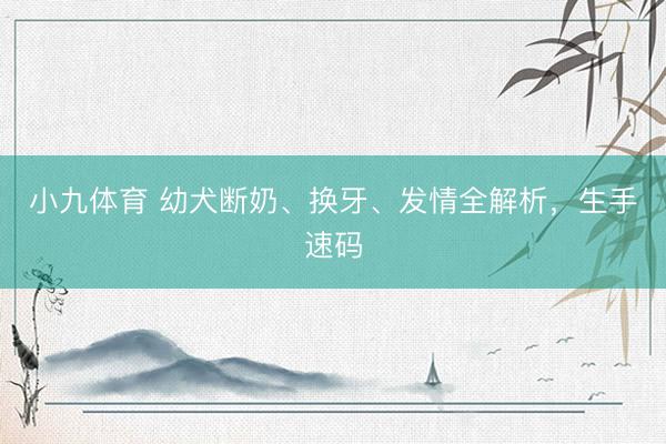 小九体育 幼犬断奶、换牙、发情全解析，生手速码